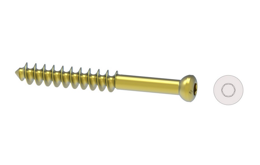 Cancellous Screws Ø 6.5mm- 32 mm Threaded		 